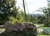 Agriturimo Piettorri - Casole d'Elsa