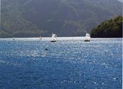 Green Holiday - Appartamenti per Vacanza - Ledro