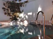 Alphotel Taller **** Wellness & Sport - Folgarida