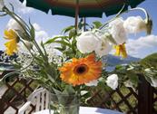 Hotel Danila - Portoferraio