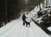 Baita Sagron Mis.Dolomiti - Sagron Mis