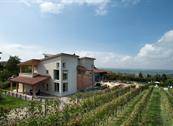 La Rosa Gialla - Barolo
