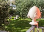 Tenuta Odegitria - Martina Franca