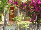 Hotel Villaggio Tabù - Palinuro