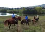 Azienda Agricola Rendola Riding - Montevarchi