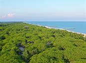 Hotel Aurora - Eraclea Mare