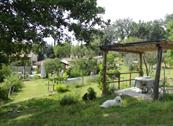 Agriturismo Corzano - Barberino di Mugello
