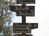 Il Borgo di Campi  - Riomaggiore