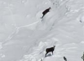 B&B Campaciòl - Livigno