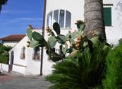 Residence Moresco - Pietra Ligure