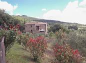 Agriturismo La Coccinella - Cortona