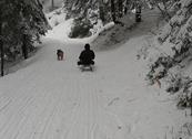 Baita Sagron Mis.Dolomiti - Sagron Mis