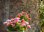 Agriturismo I Pitti - Serravalle Pistoiese