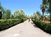Camping Village Parco degli ulivi - Peschici