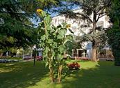 Hotel Quisisana Terme - Abano Terme
