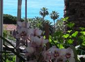 Hotel B&B Deutsche Familien - Finale Ligure