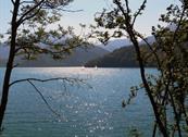 Green Holiday - Appartamenti per Vacanza - Ledro