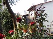 Casa Vacanze Podere Ugolini - Borgo San Lorenzo