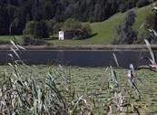 Green Holiday - Appartamenti per Vacanza - Ledro