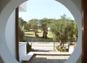 HOTEL MAGNOLIA - Vieste