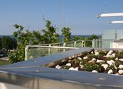 Residence Sunrise Cesenatico - Cesenatico