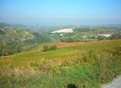Hotel Astoria Gourmet & Relax - Fano