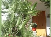 Antonietta B&B - Giovinazzo