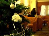 Hotel Mediterranea - Loano