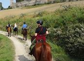 Azienda Agricola Rendola Riding - Montevarchi