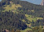 Green Holiday - Appartamenti per Vacanza - Ledro