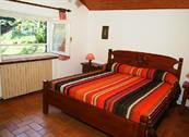 Green Holiday - Appartamenti per Vacanza - Ledro