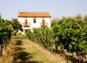 Agriturismo la Pulledraia del Podere Montegrappa - Alberese
