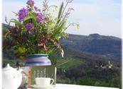 Agriturismo I Pitti - Serravalle Pistoiese