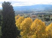 Casa Cares - Reggello