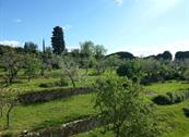 Ostello del Bigallo - Bigallo Hostel - Florencia