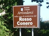 B&B Timeout - Polverigi