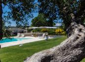 Tenuta Odegitria - Martina Franca