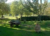 Agriturismo le Pozze - Dicomano