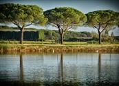 Club Village & Hotel Spiaggia Romea - Lido delle Nazioni