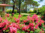 Villaggio Turistico Adriatico - Jesolo