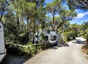 Camping Maremma Sans Souci - Castiglione della Pescaia