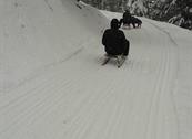 Baita Sagron Mis.Dolomiti - Sagron Mis