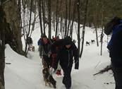 Baita Sagron Mis.Dolomiti - Sagron Mis