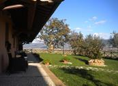 Agriturismo I Mille Ulivi - Montefalco