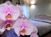 B & B i Leprotti - Abbiategrasso