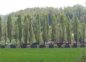 Monferrato Resort - Cereseto Monferrato