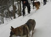 Baita Sagron Mis.Dolomiti - Sagron Mis