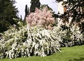 Villa ca' Vendri - Verona