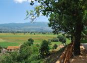 Agriturismo I Mille Ulivi - Montefalco
