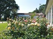 Relais Villa Abbondanzi - Faenza